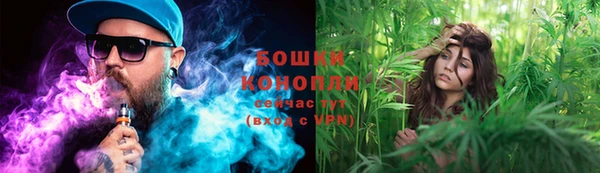 шишки Горняк