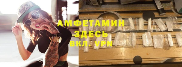 шишки Горняк