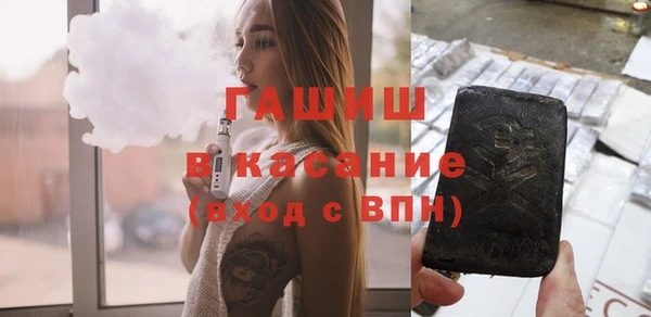 шишки Горняк