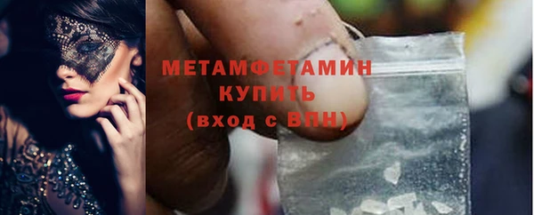 шишки Горняк