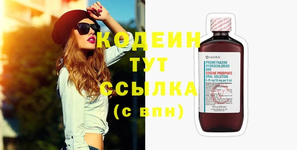 шишки Горняк