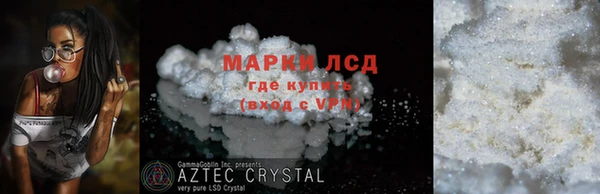 шишки Горняк