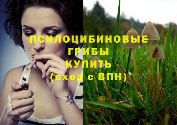 не бодяженный Горно-Алтайск