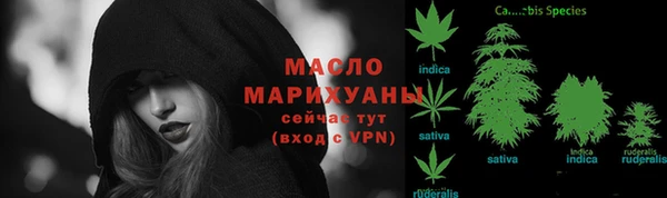 шишки Горняк