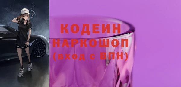 шишки Горняк