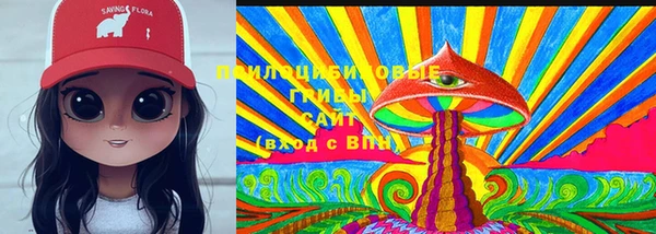 шишки Горняк