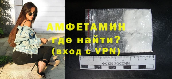 шишки Горняк