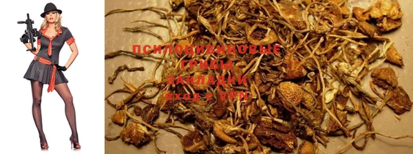не бодяженный Горно-Алтайск