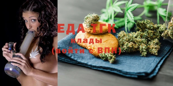 шишки Горняк
