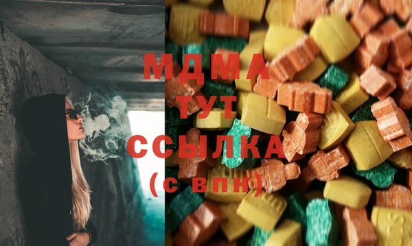 шишки Горняк