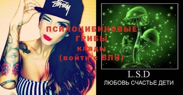 шишки Горняк