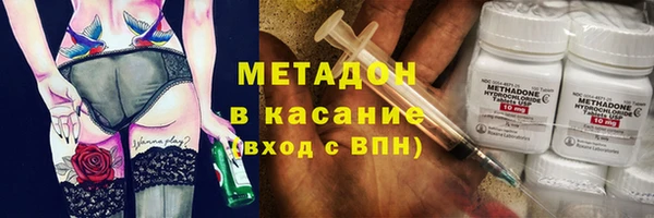 шишки Горняк