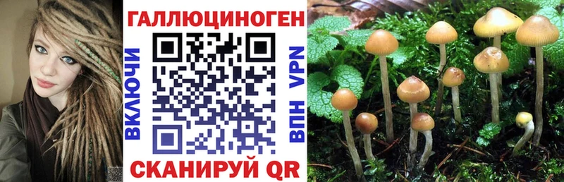 где продают   Ряжск  Галлюциногенные грибы мицелий 